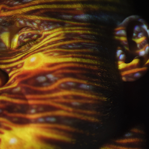 欧美亚洲小说图片图专区
