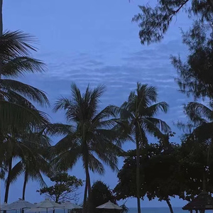 欧美亚洲小说图片图专区
