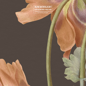 欧美亚洲小说图片图专区
